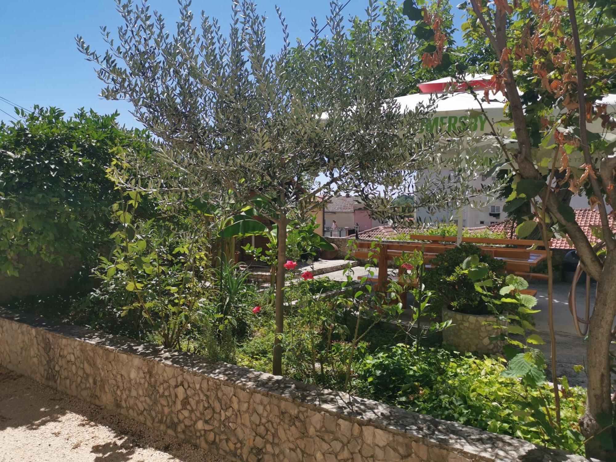 Apartmani Rudelj Makarska Room photo